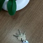 Apartamento Aconchegante - Enseada - Guaruja